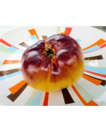 Tomato 'Sart Roloise Yellow Strain' Seeds (Naturally Grown)