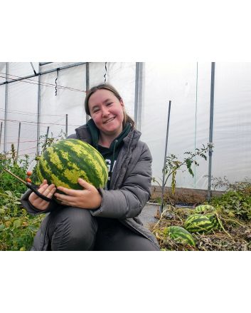 Watermelon 'Crimson Sweet'