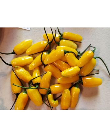 Hot Pepper ‘Bleeding Heart Yellow Cross' Seeds (Naturally Grown)