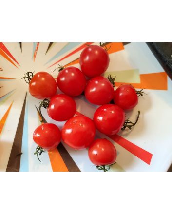 Tomato 'Tomatoberry F2'