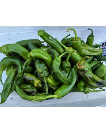 Mild Pepper 'Italian Pepperoncini' Seeds (Naturally Grown)