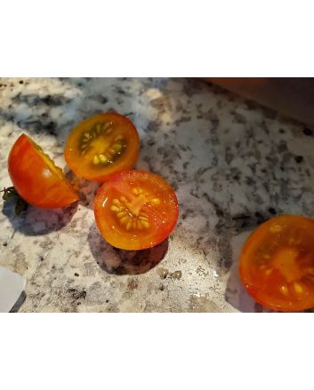 Tomato 'Yellow Sprinkles' Seeds (Naturally Grown)