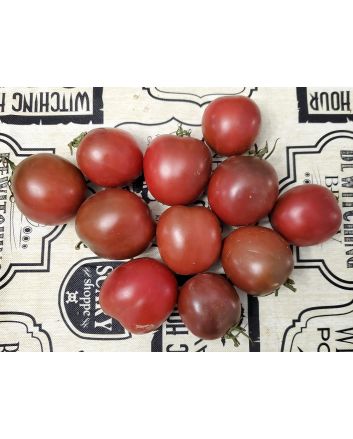 Tomato 'Joffre'