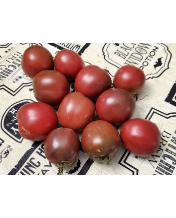 Tomato 'Joffre'