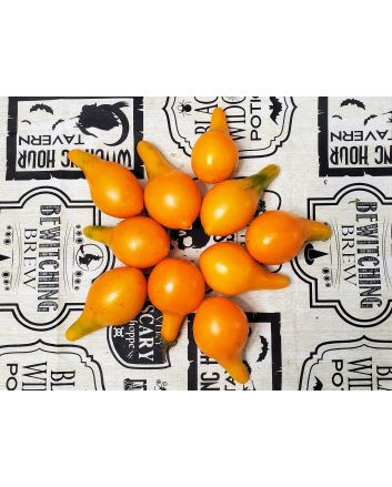 Tomato 'Mila's Orange Pear' Seeds (Naturally Grown)