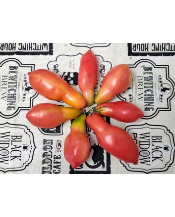 Tomato 'Pink Fang' Seeds (Certified Organic)