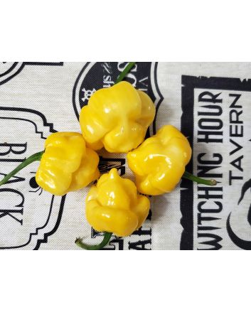 Hot Pepper ‘Bahamian Beast Yellow' Seeds (Naturally Grown)