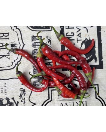 Hot Pepper ‘Buena Mulata' Seeds (Naturally Grown)