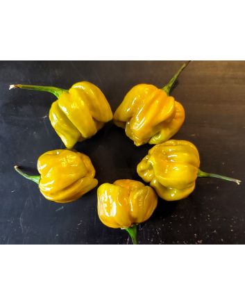 Hot Pepper ‘Mustard Habanero' Seeds (Naturally Grown)