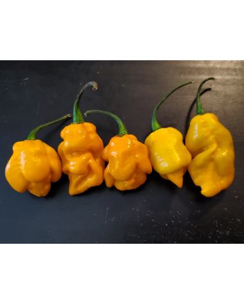 Hot Pepper 'Lemon Ghostly Jalapeno' Seeds (Naturally Grown)