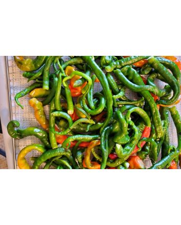 Hot Pepper ‘Hangjiao #5 (HJ5) Helix Nebula Space Chili’ Seeds (Naturally Grown)