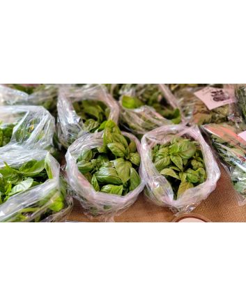 Basil 'Genovese' AKA 'Classico' 