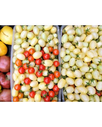 Tomato 'Open School Yellow' Seeds (Naturally Grown)