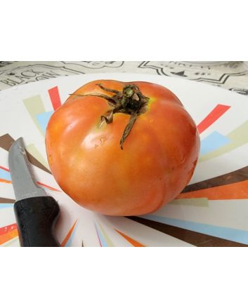 Tomato 'Sophie's Choice' Seeds (Naturally Grown)