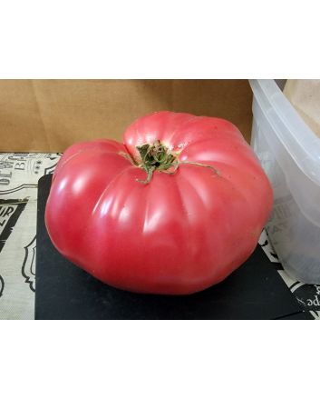 Tomato 'Russian Rose' Seeds (Naturally Grown)