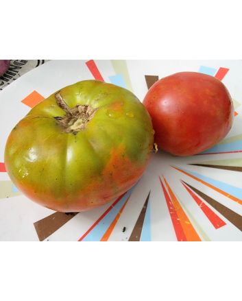 Tomato 'Buckbee's New 50 Day' Seeds (Naturally Grown)