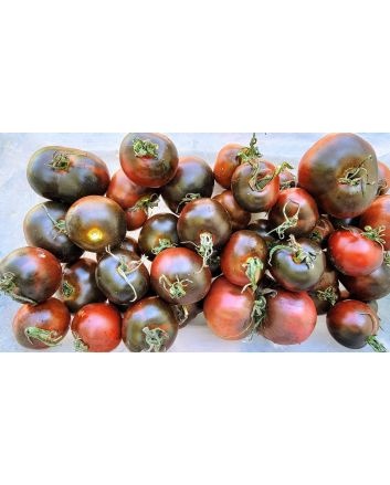 Tomato 'Indigo Blue Chocolate' Seeds (Naturally Grown)