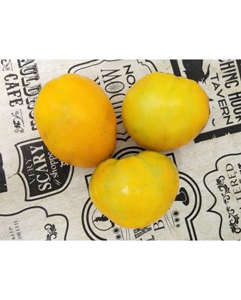 Tomato 'Golden King of Siberia' Seeds (Naturally Grown)