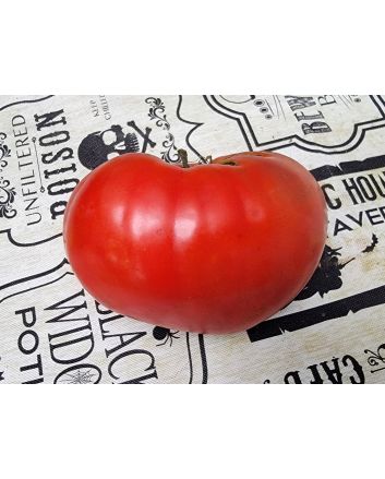 Tomato 'Sunset's Red Horizon' Seeds (Naturally Grown)