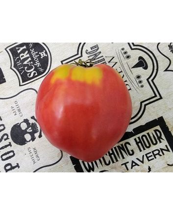 Tomato 'New Zealand Pink Paste' Seeds (Certified Organic)