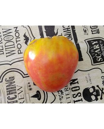 Tomato 'Gemini' Seeds (Naturally Grown)