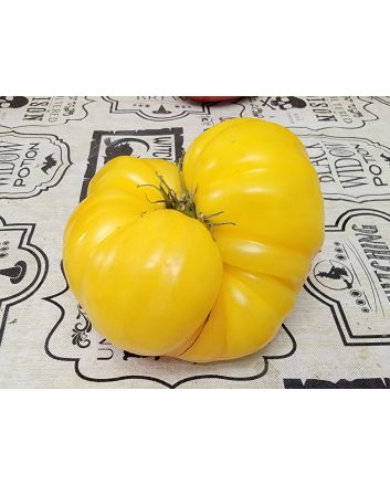 Tomato 'Yellow Flesh Red Interior" Seeds (Naturally Grown)