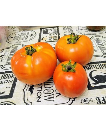 Tomato 'Debut F2' Seeds (Naturally Grown)