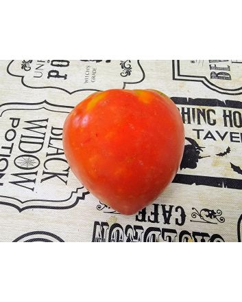 Tomato 'Buffalo Heart' Seeds (Naturally Grown)