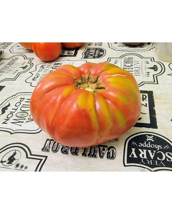 Tomato 'Mrs. Maxwell's Big Italian' Seeds (Naturally Grown)