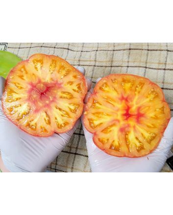 Tomato 'Yellow Flesh Red Interior" (Red Variant) Seeds (Naturally Grown)