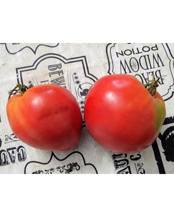 Tomato 'Anna Russian' Seeds (Naturally Grown)