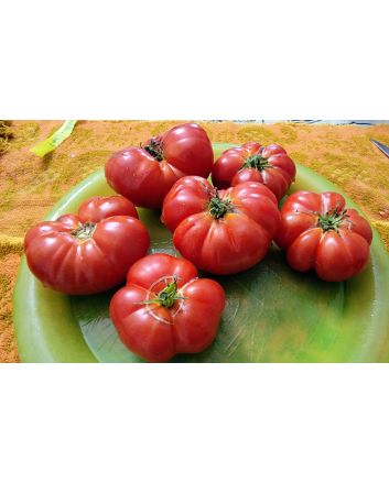 Tomato 'Mandarina Red' Seeds (Naturally Grown)