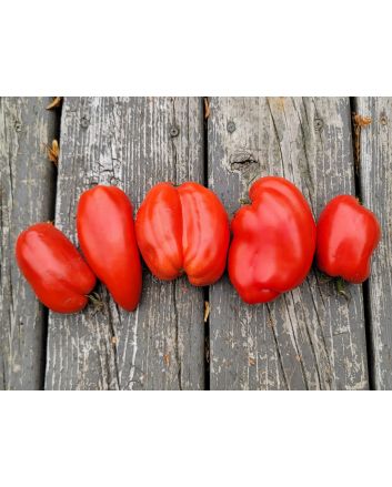 Tomato 'Federle' Seeds (Naturally Grown)