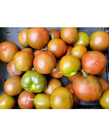 Tomato 'Brazilian Beauty' Seeds (Naturally Grown)