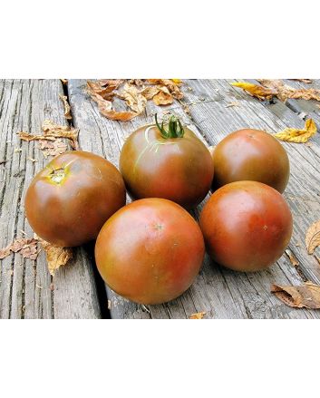 Tomato 'Brazilian Beauty' Seeds (Naturally Grown)
