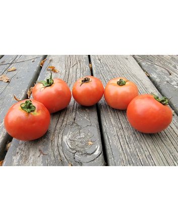 Tomato 'Illini Star' Seeds (Naturally Grown)