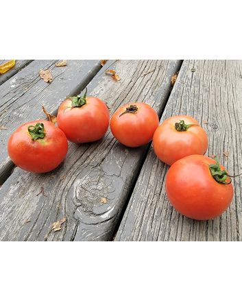 Tomato 'Illini Star' Seeds (Naturally Grown)