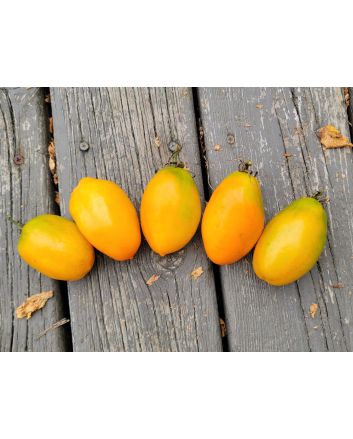 Tomato 'Orange Roma' Seeds (Naturally Grown)