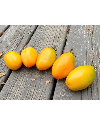 Tomato 'Orange Roma' Seeds (Naturally Grown)
