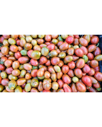 Tomato 'Black Mauri' Seeds (Naturally Grown)