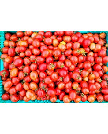 Tomato 'Crovarese Grape' Seeds (Naturally Grown)