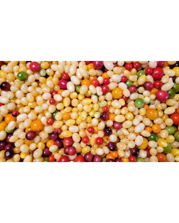 Tomato 'Open School Yellow' Seeds (Naturally Grown)