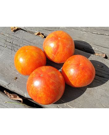 Tomato 'Aviuri' Seeds (Naturally Grown)