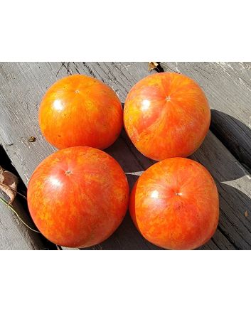 Tomato 'Aviuri' Seeds (Naturally Grown)