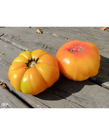 Tomato 'Armenian' Seeds (Naturally Grown)