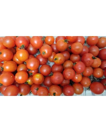 Tomato 'Be My Baby' Seeds (Naturally Grown)