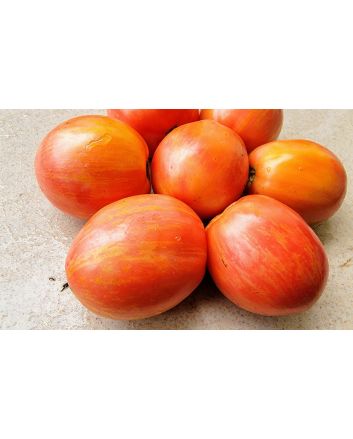 Tomato 'Don Juan' Seeds (Naturally Grown)