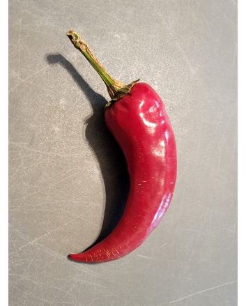 Hot Pepper 'Edes Fuszer Paprika' Seeds (Naturally Grown)