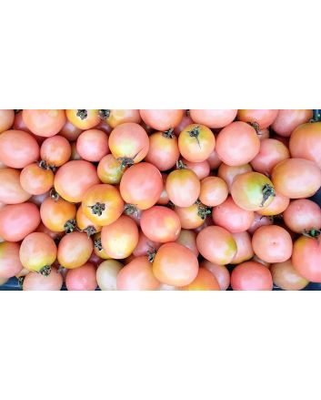 Tomato 'Pearly Pink' Seeds (Naturally Grown)