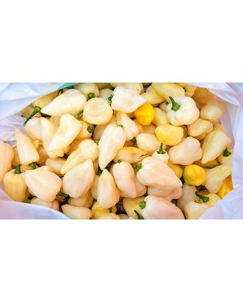 Hot Pepper 'White Ghost' Seeds (Naturally Grown)